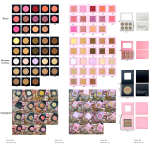 Blush Palette Supplier - Pink Loose Powder Palette