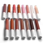 Lip Gloss Supplier - Plumping Shiny Lipgloss