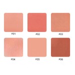 Blush Palette Manufacturer - Matte Shiny Blusher