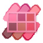 Blush Palette Supplier - Pink Loose Powder Palette
