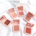 Blush Palette Manufacturer - Matte Shiny Blusher