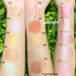 Blush Palette Supplier - Pink Loose Powder Palette