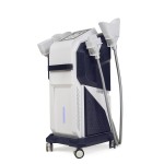 Slimming Machine Factory - 4 Handle Diamond Ice Sculpture