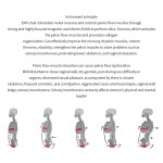 EMS Chair Machine Manufacturer - Muscle Stimulation Therapy