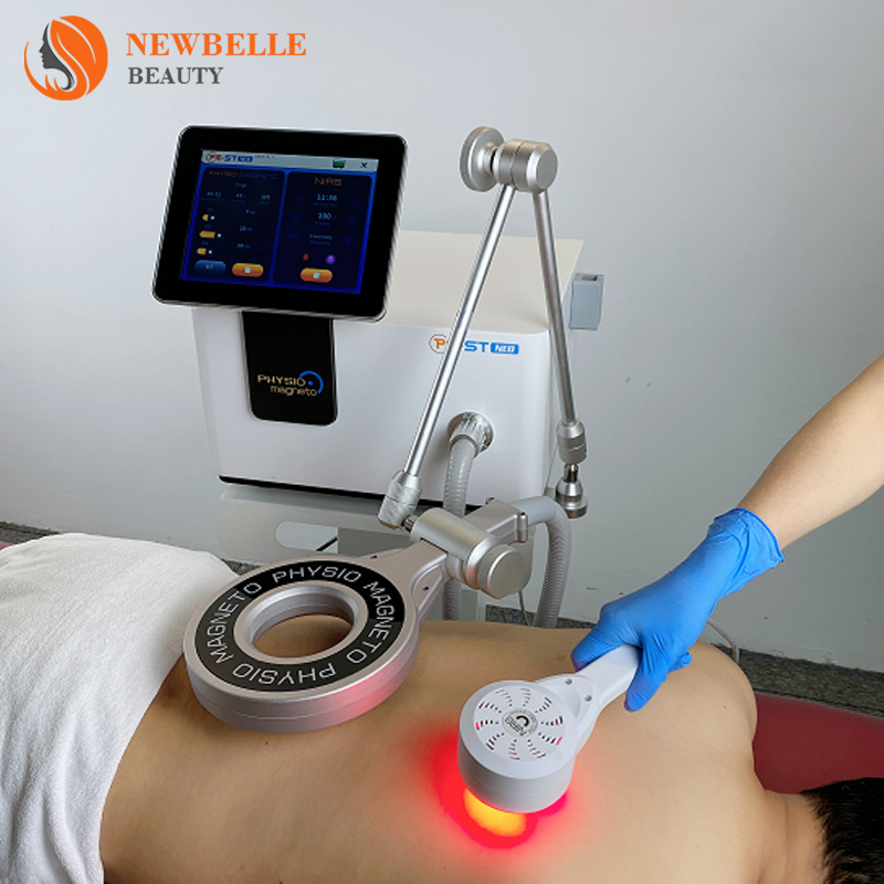 Magnetic Therapy Device Supplier - Pulsed Equine Therapy