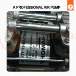 Shock Therapy Machine Manufacturer - Physical Therapy Device