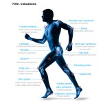 ESWT Equipment Factory - Focused Electromagnetic Therapy