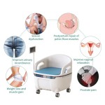 Pelvic Floor Machine Factory - Home SPA Exerciser Chair