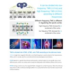 PEMF Therapy Machine Supplier - EMTT Magnetolith Treatment