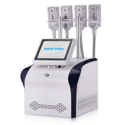 Cryoslimming Machine Supplier - EMS RF Fat Reduce