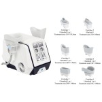 Body Beauty Machine Manufacturer - 2 Handle Diamond Ice