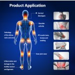 Magnetotherapy Machine Factory - Clinic Body Care Equipment