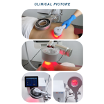 Magnetic Therapy Device Supplier - Pulsed Equine Therapy