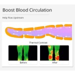 Pressotherapy Machine Supplier - 2in1 Infrared Weight Loss