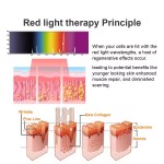 Red Light Therapy Machine Factory - Tanning Bed Skin Rejuvenation