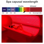 Red Light Therapy Machine Supplier - Tanning Bed Beauty Device