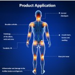 Magnetic Therapy Device Manufacturer - Portable Pulse Generator