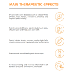 Magnetic Therapy Device Supplier - Pulsed Equine Therapy