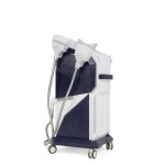 Slimming Machine Factory - 4 Handle Diamond Ice Sculpture