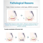 Pelvic Floor Machine Supplier - Muscle Trainer Therapy