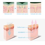 Facial Care Machine Supplier - Deep Cleansing Hydrating