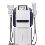 Slimming Machine Factory - 4 Handle Diamond Ice Sculpture