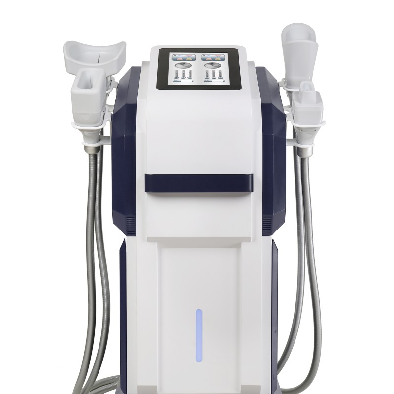 Slimming Machine Factory - 4 Handle Diamond Ice Sculpture