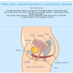 EMS Pelvic Floor Machine Supplier - Electromagnetic Trainer