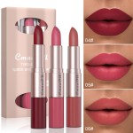 Lipstick Set Manufacturer - 3 Pack 2 in 1 Lip Set