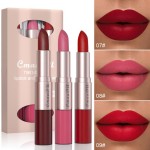 Lipstick Set Manufacturer - 3 Pack 2 in 1 Lip Set
