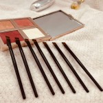 Eyebrow Brush Manufacturer - Diagonal Eyebrow Brush