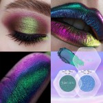 Eyeshadow Powder Supplier - 12 Color Chameleon Powder