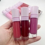 Lipstick Supplier - No Logo Candy Liquid Lipstick