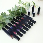 Lip Gloss Factory - OEM 79 Color Gradient Lip Gloss