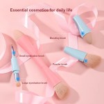 Makeup Brush Manufacturer - 4 in 1 Portable Brush Set
