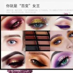 Eyeshadow Palette Supplier - 16 Color Desert Palette