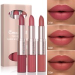 Lipstick Set Manufacturer - 3 Pack 2 in 1 Lip Set