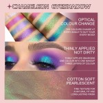 Eyeshadow Powder Supplier - 12 Color Chameleon Powder