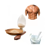 Glute Support Protein Powder Manufacturer - OEM/ODM Wholesale for Fitness & Bodybuilding