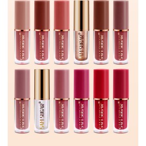 Lipstick Set Supplier - 12 Color Professional Low