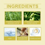 Ginger Conditioner Manufacturer - Rosemary Repair Dry Hair