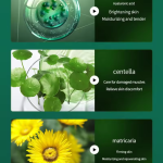 海茴香护肤品供应商-透明质酸奢华礼盒