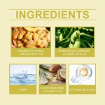 Ginger Conditioner Manufacturer - Rosemary Repair Dry Hair