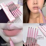 Lipliner Pen OEM - Double Head Low Saturation Outline Lip Shape ODM Service
