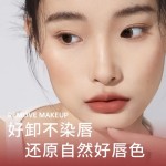Lip Cream Bulk Supplier - Matte Velvet Non Transfer Live Stream Celebrity
