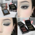 Eye Shadow Wholesale Supplier - Pearlescent Matte Monochrome Smokey Non Fading
