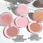 Blusher Palette Custom - High Pigmented Cheek Blush Matte Powder Private Label