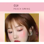 Blush Palette Manufacturer - Peach Orange Pink Shimmer Matte Contouring