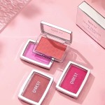 Single Blush Manufacturer - Color Enhancement Waterproof Sweat Proof Natural