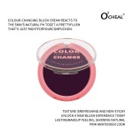 Multifunctional Blush Cream Supplier - Gradient Contour Eyeshadow 3 in 1